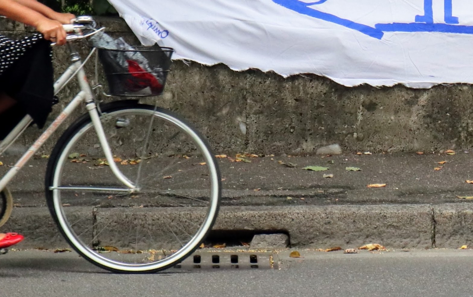 Best practices per un’università ciclabile… copiamo da chi fa bene!